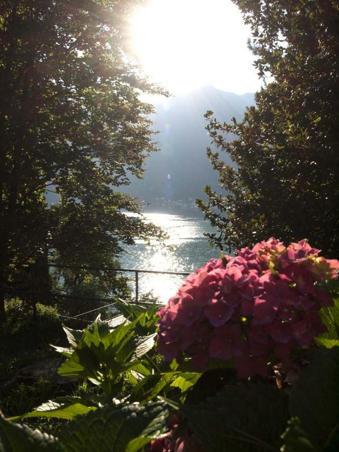 Casa Marina - Appartamento Nel Residence Di Nesso Dış mekan fotoğraf